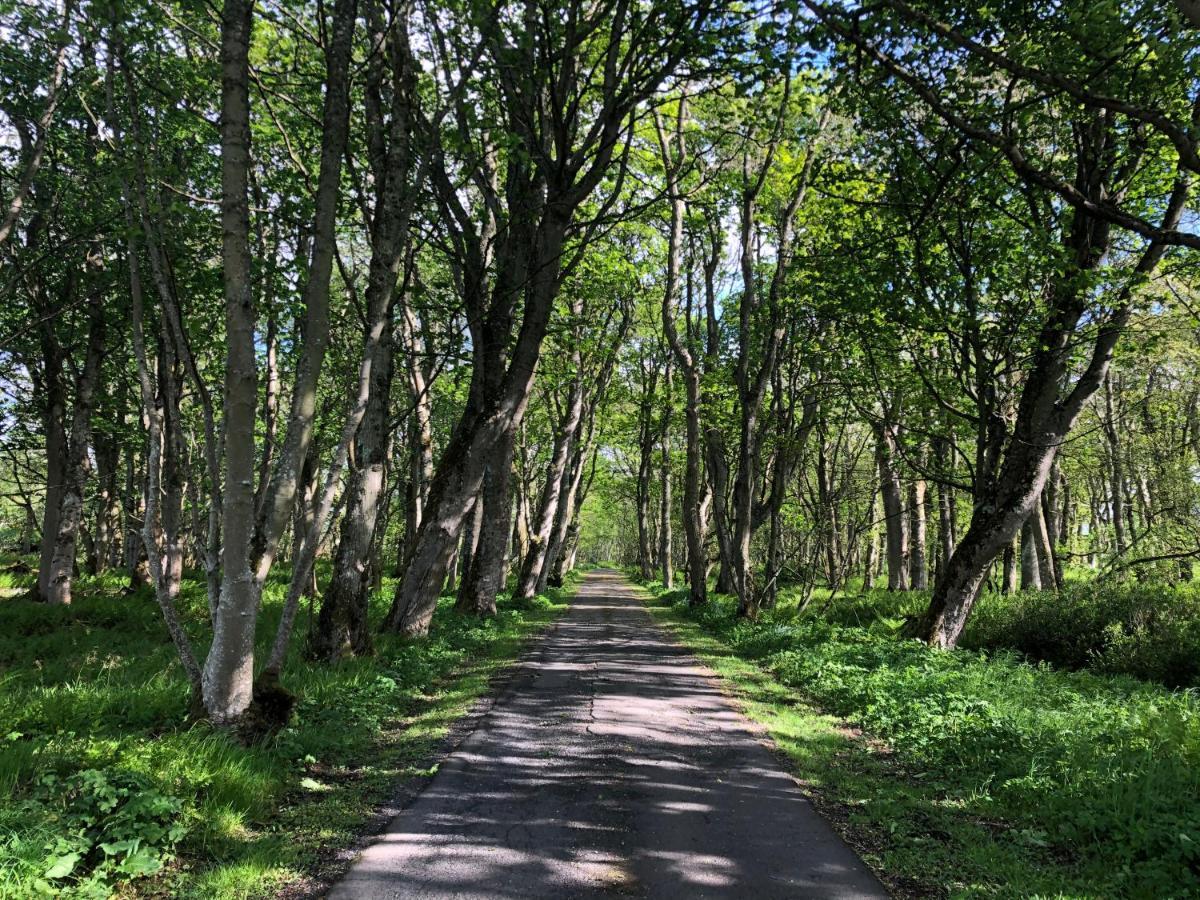 Forse Of Nature Latheron Ngoại thất bức ảnh